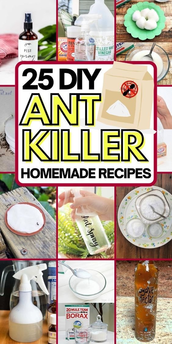 What Is a Good Homemade Ant Killer? Safe DIY Methods That Actually Work