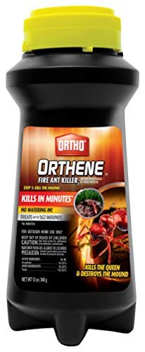 Does Orthene Fire Ant Killer Kill Roaches? What You Need to Know