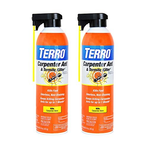 Best Carpenter Ant Killer Indoor