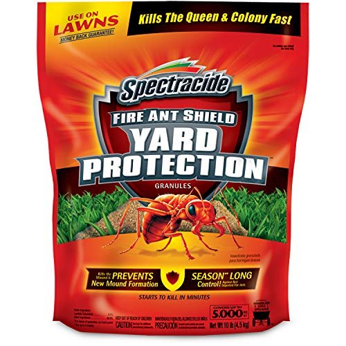 Best Fire Ant Killer Outdoor
