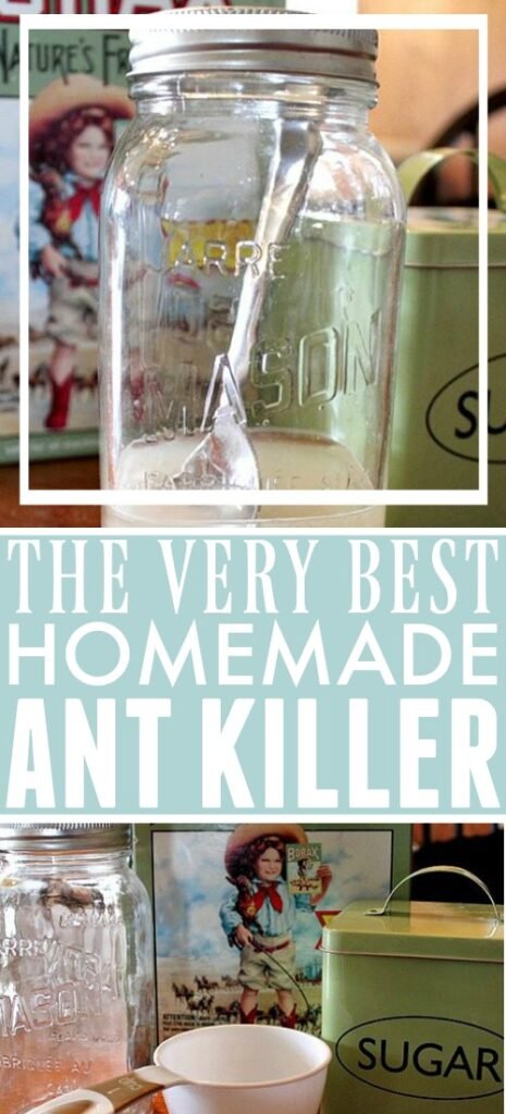 How to Make Homemade Ant Killer