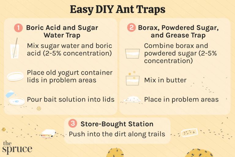 Do It Yourself Ant Killer
