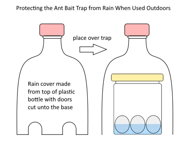 how to make ant killer with borax