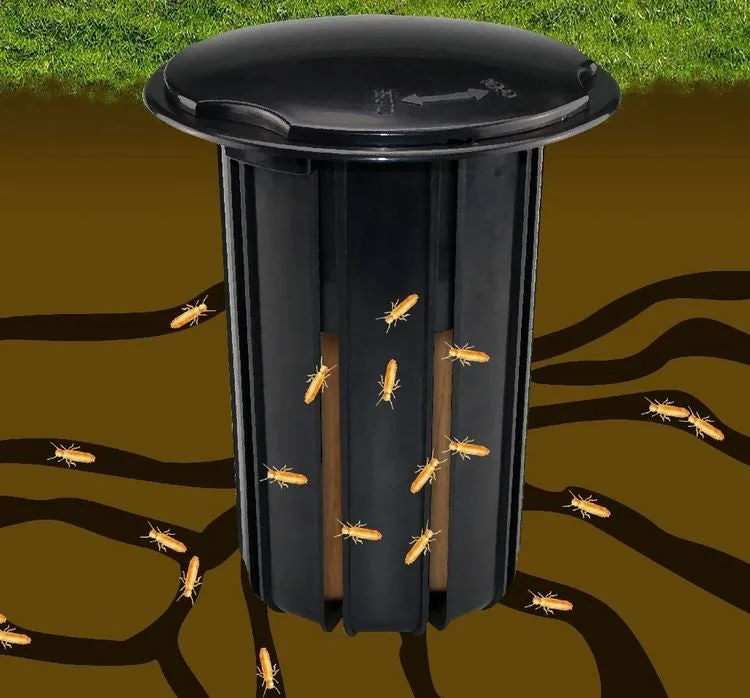 termite bait monitoring stations